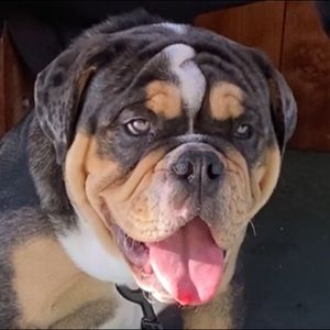 Meet your Posher, Kevin